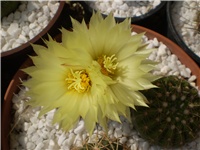 adeca2f2-Picture 6398.jpg